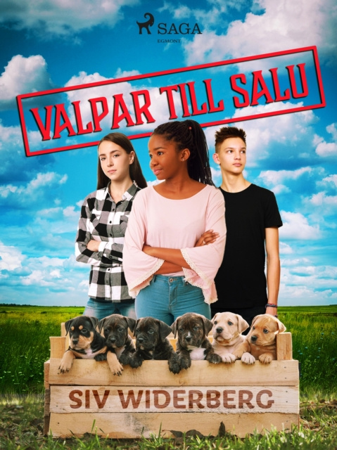 E-book Valpar till salu Siv Widerberg