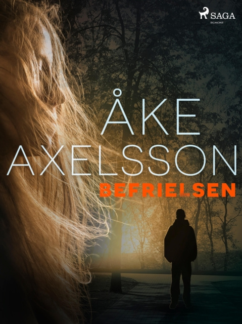 E-book Befrielsen Ake Axelsson