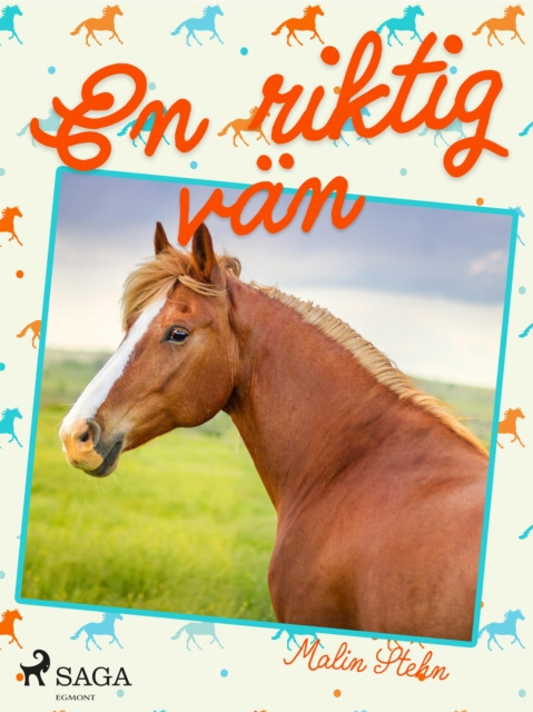E-book En riktig van Malin Stehn