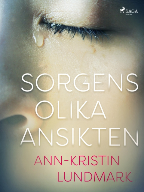 E-book Sorgens olika ansikten Ann-Kristin Lundmark