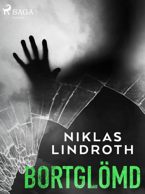 E-knjiga Bortglomd Niklas Lindroth