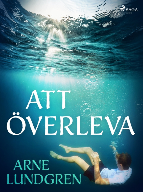 E-book Att overleva Arne Lundgren