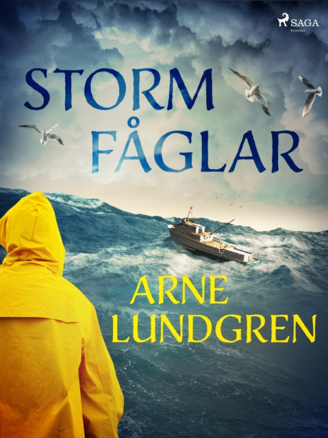 E-knjiga Stormfaglar Arne Lundgren