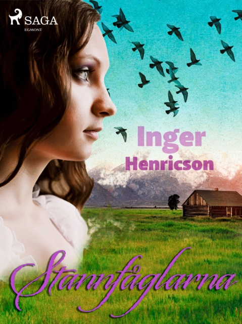 E-book Stannfaglarna Inger Henricson
