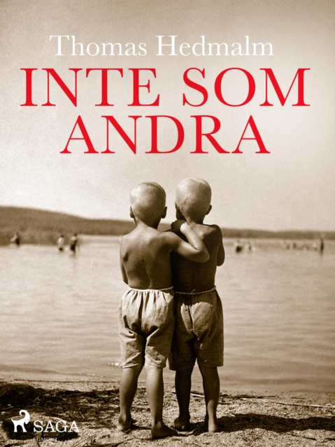E-book Inte som andra Thomas Hedmalm
