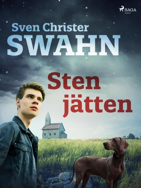E-knjiga Stenjatten Sven Christer Swahn