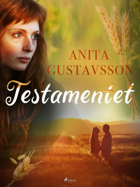 E-knjiga Testamentet Anita Gustavsson