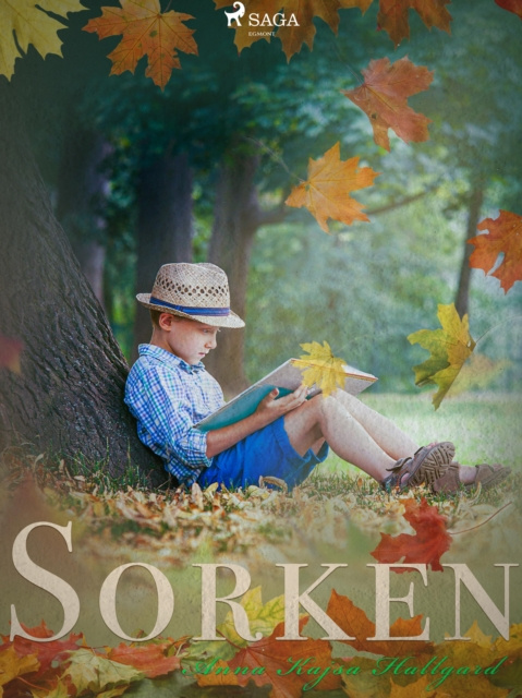E-Book Sorken Anna Kajsa Hallgard