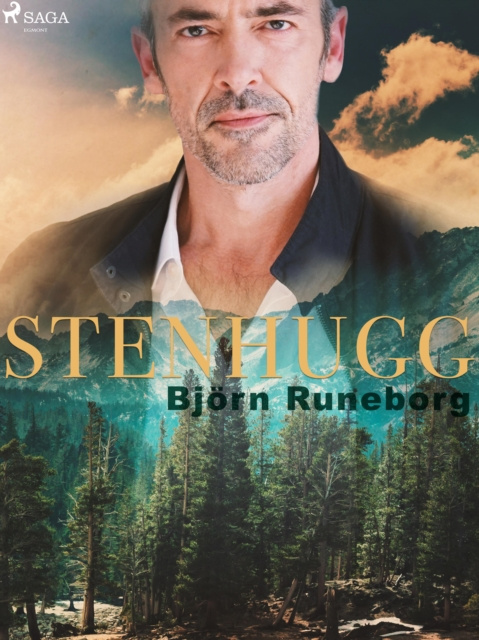 E-knjiga Stenhugg Bjorn Runeborg