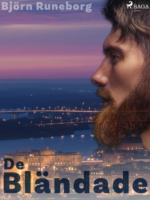 E-book De blandade Bjorn Runeborg