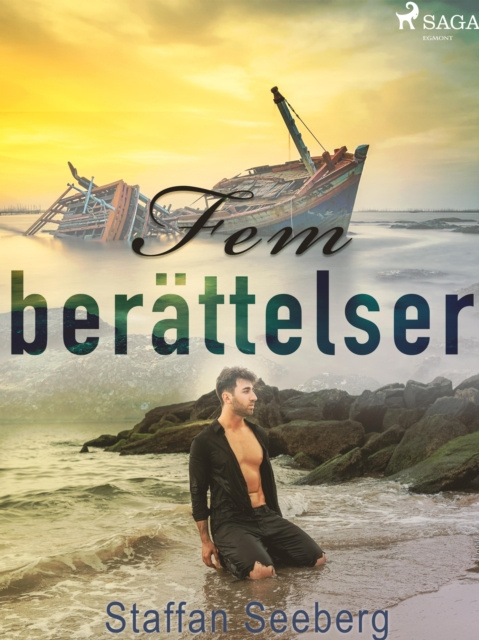 E-knjiga Fem berattelser Staffan Seeberg