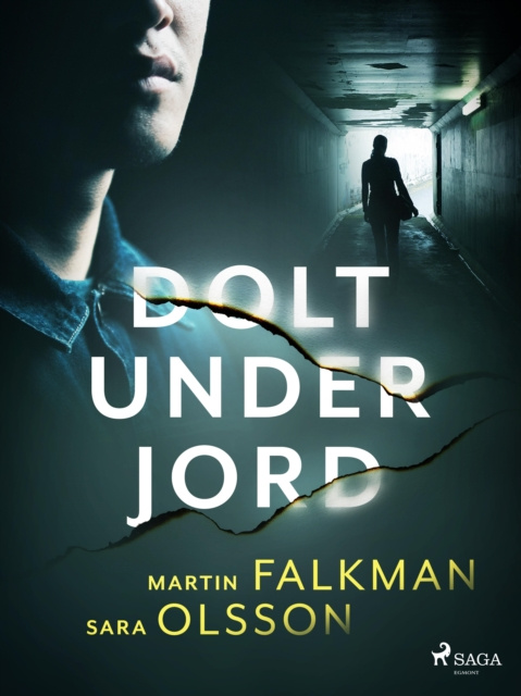 E-knjiga Dolt under jord Sara Olsson