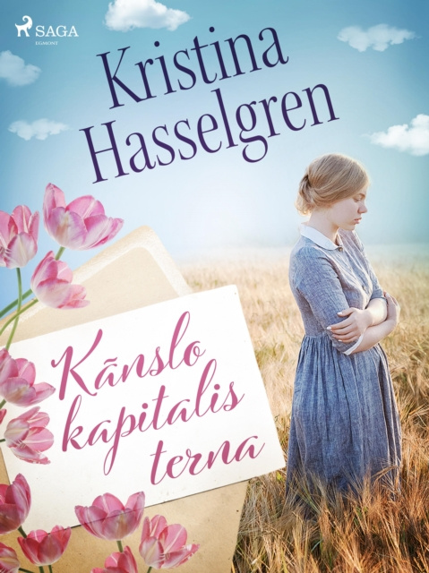 E-book Kanslokapitalisterna Kristina Hasselgren