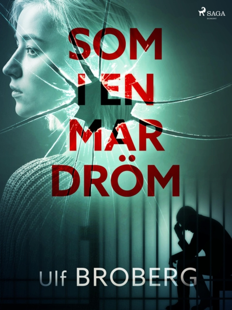 E-book Som i en mardrom Ulf Broberg