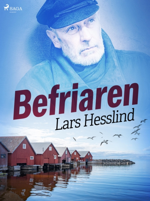 E-knjiga Befriaren Lars Hesslind