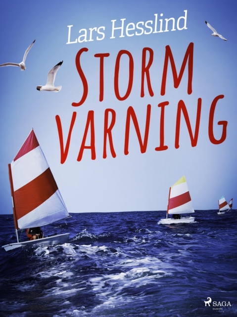 E-knjiga Stormvarning Lars Hesslind