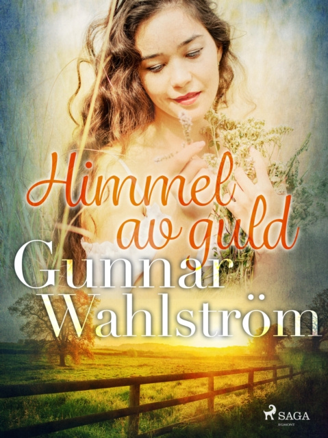 E-knjiga Himmel av guld Gunnar Wahlstrom
