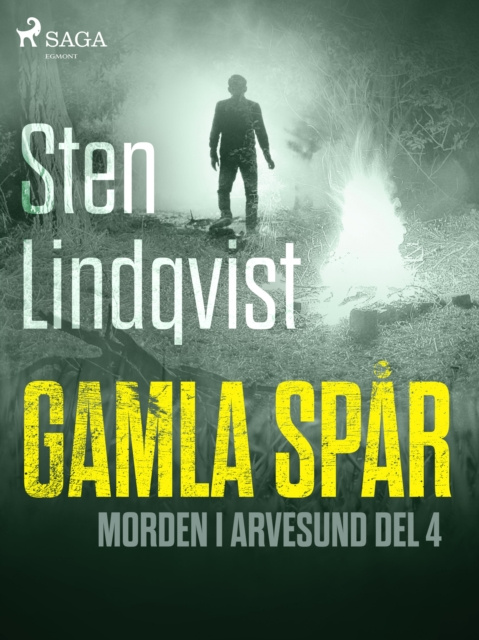 E-knjiga Gamla spar Sten Lindqvist