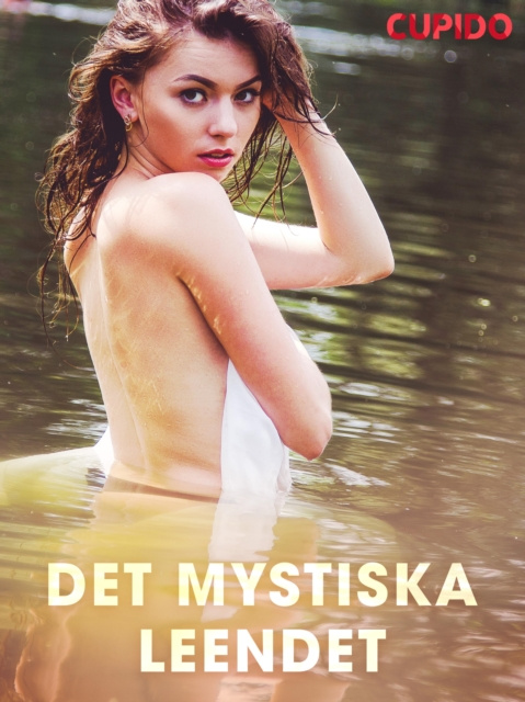 E-knjiga Det mystiska leendet Cupido