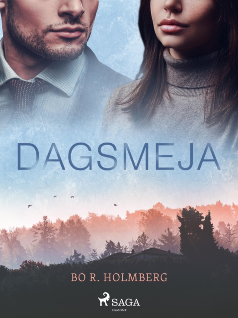 Libro elettronico Dagsmeja Bo R. Holmberg