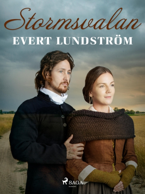 E-book Stormsvalan Evert Lundstrom