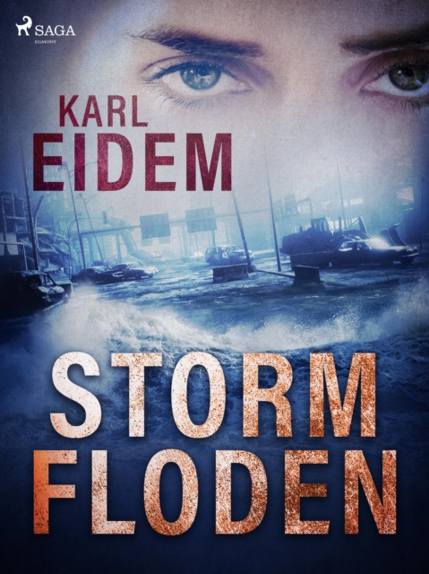 E-knjiga Stormfloden Karl Eidem