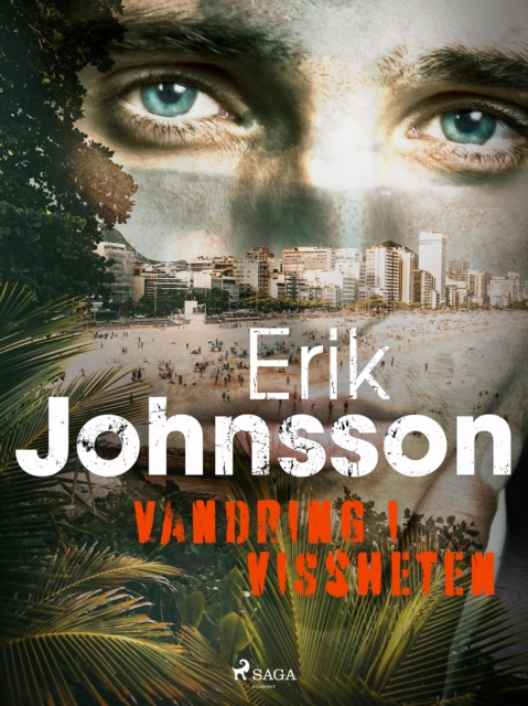 E-book Vandring i vissheten Erik Johnsson