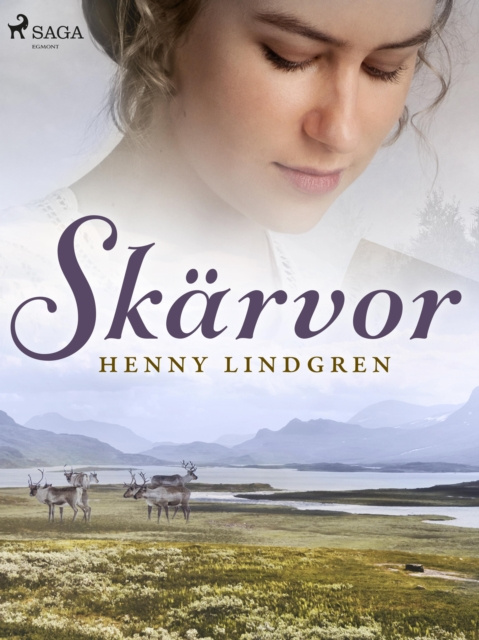 E-knjiga Skarvor Henny Lindgren