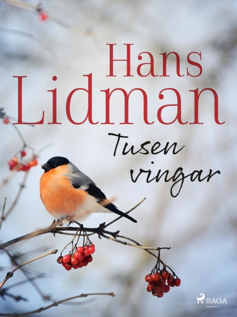 E-book Tusen vingar Hans Lidman