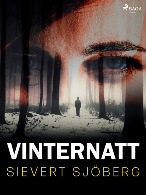 E-knjiga Vinternatt Sievert Sjoberg