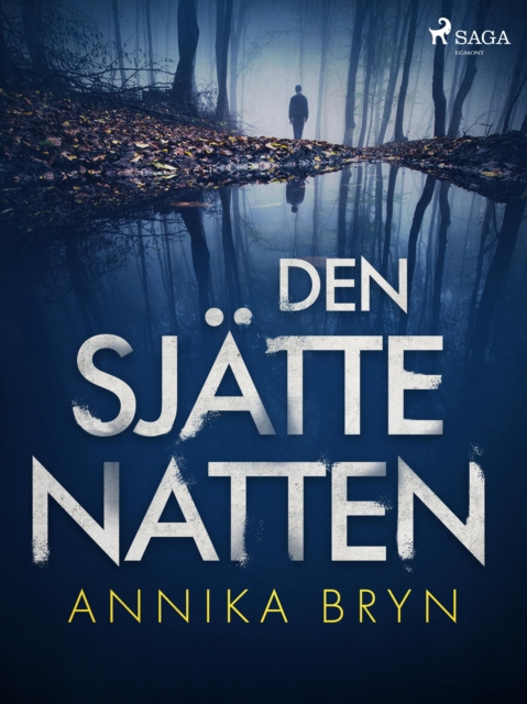 E-book Den sjatte natten Annika Bryn