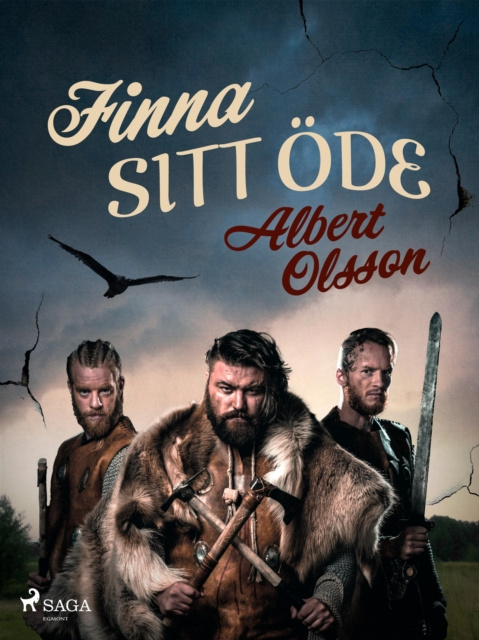 E-knjiga Finna sitt ode Albert Olsson