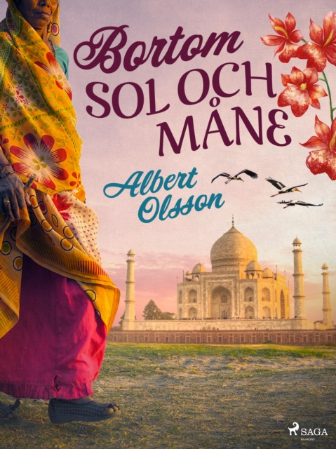 E-book Bortom sol och mane Albert Olsson