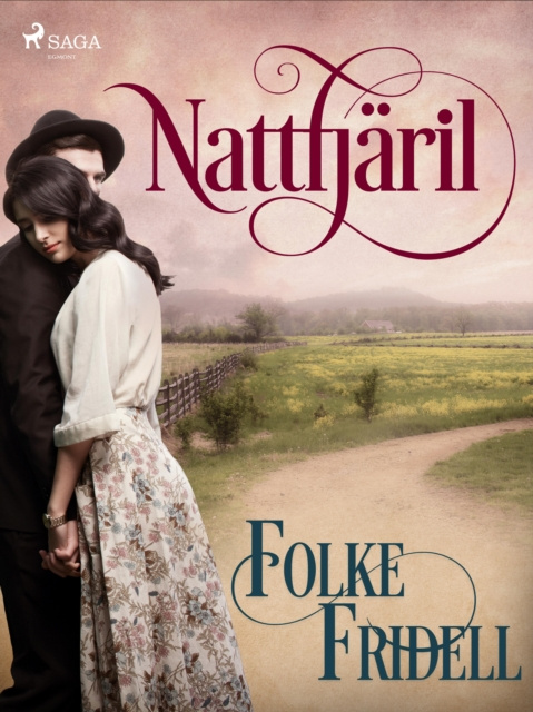 E-kniha Nattfjaril Folke Fridell