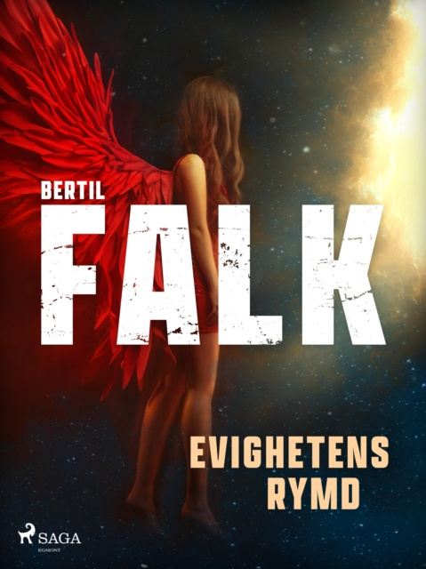 E-book Evighetens Rymd Bertil Falk