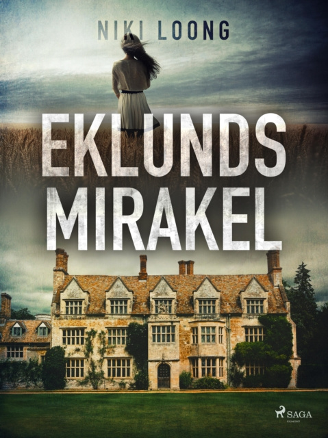 E-book Eklunds mirakel Niki Loong