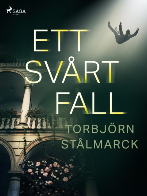 E-Book Ett svart fall Torbjorn Stalmarck