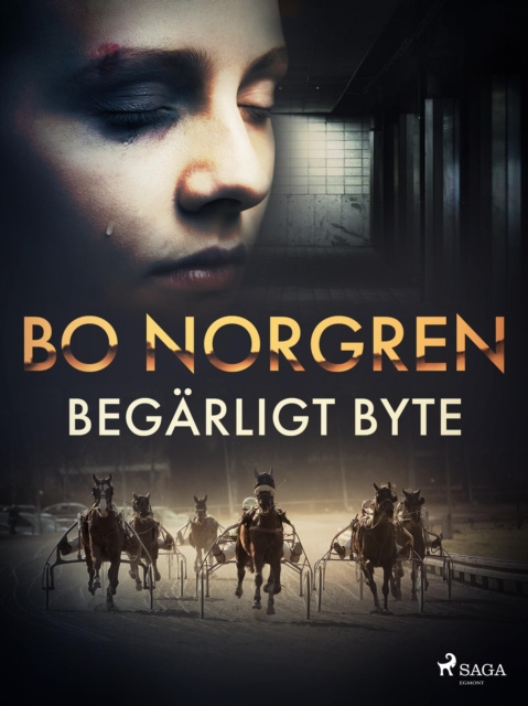 E-knjiga Begarligt byte Bo Norgren