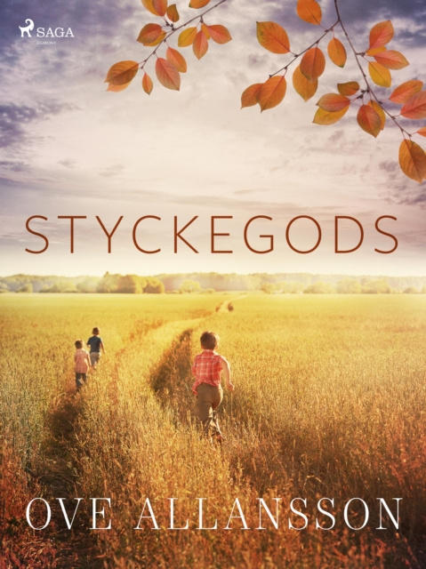 E-knjiga Styckegods Ove Allansson