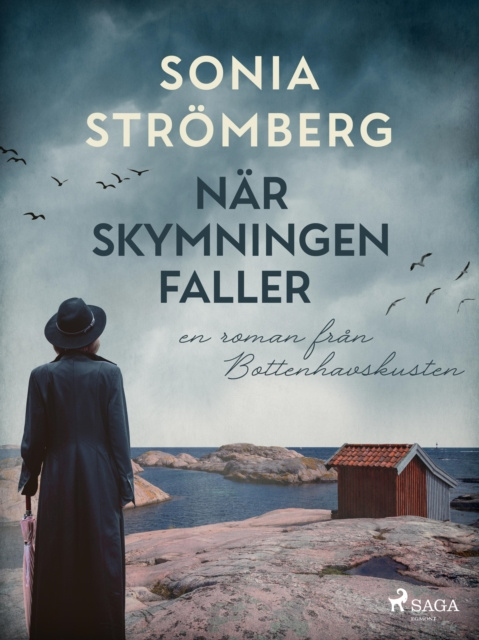 E-knjiga Nar skymningen faller Sonia Stromberg