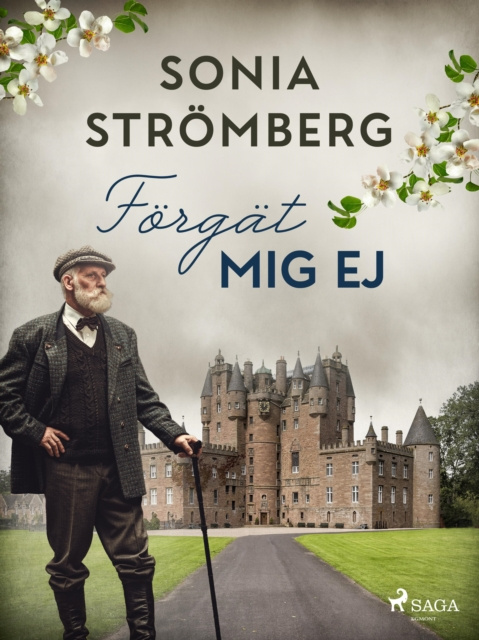 E-book Forgat mig ej Sonia Stromberg