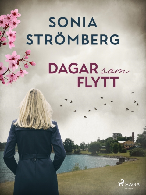 E-book Dagar som flytt Sonia Stromberg