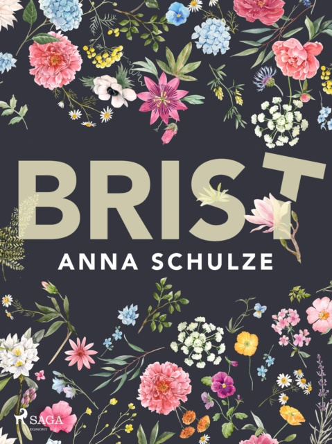 E-knjiga Brist Anna Schulze