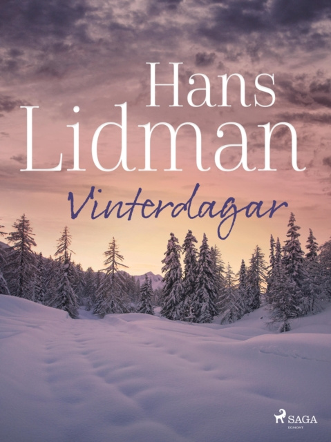 E-Book Vinterdagar Hans Lidman