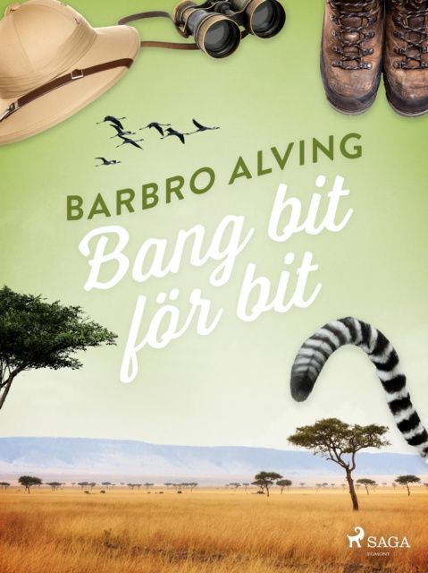 E-book Bang bit for bit Barbro Alving