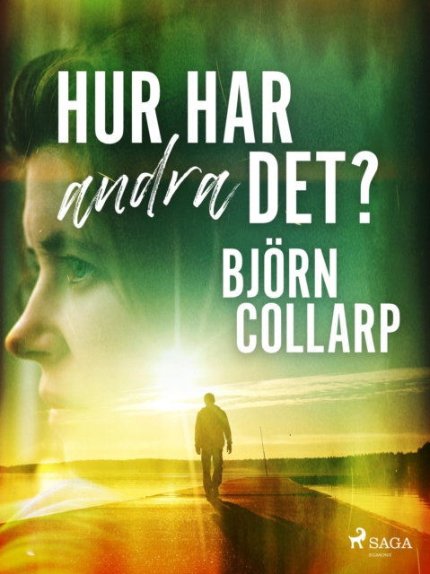 E-book Hur har andra det? Bjorn Collarp