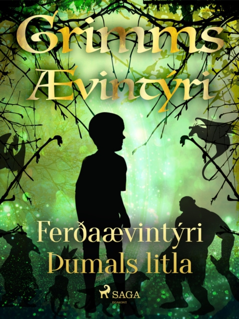 E-book Feraaevintyri umals litla GrimmsbraeÃ°ur