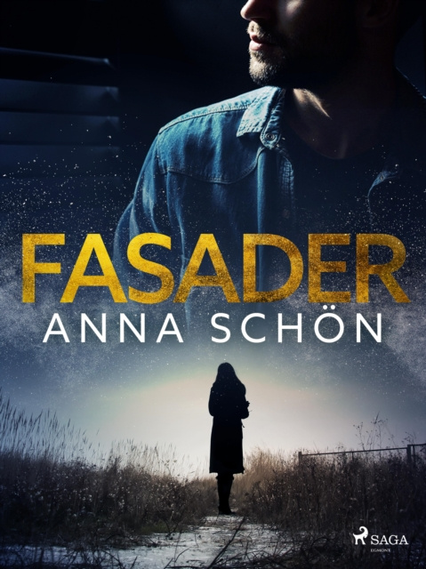 E-knjiga Fasader Anna Schon