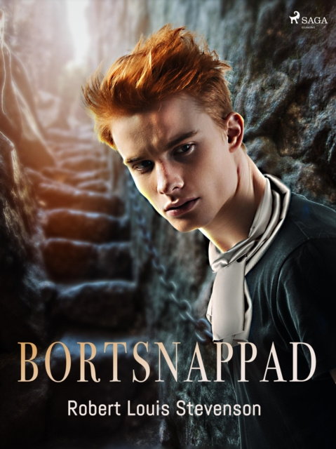 E-knjiga Bortsnappad Robert Louis Stevenson