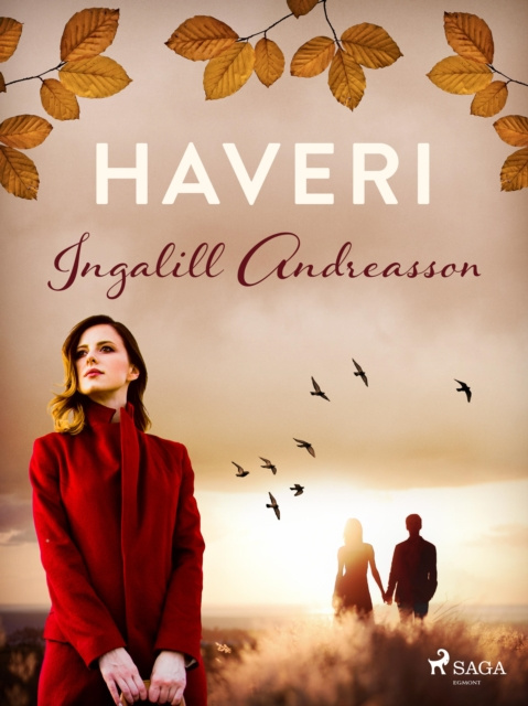 E-knjiga Haveri Ingalill Andreasson